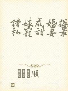 错嫁成婚总裁的私宠甜妻最新