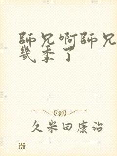 师兄啊师兄出了几季了