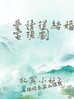 爱情从结婚开始电视剧