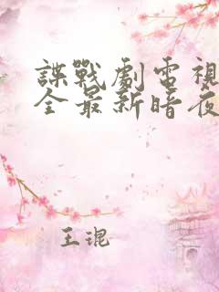 谍战剧电视剧大全最新暗夜与黎明