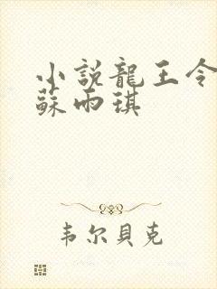 小说龙王令陈平苏雨琪