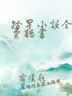 踏星小说全集免费听书