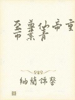 至尊仙帝重生都市叶青