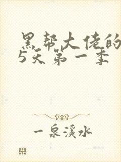 黑帮大佬的365天第一季