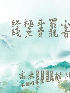 终极斗罗小说在线免费观看