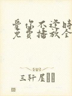 爱你不逢时短剧免费播放全集