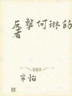 反击何琳的扮演者