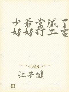 少爷当腻了只想好好打工电视剧