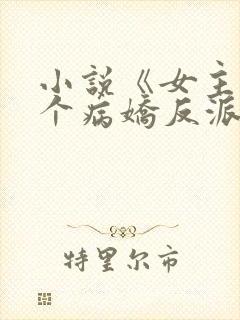 小说《女主她是个病娇反派》