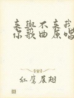 来与不来我都等你歌曲原唱