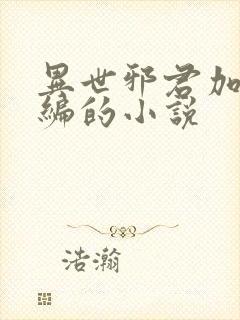 异世邪君加料改编的小说