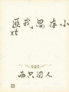 匪我思存小说txt