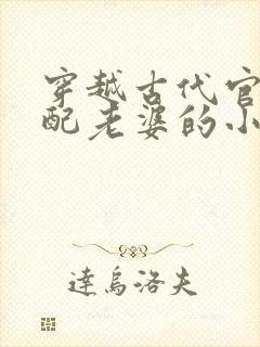 穿越古代官府分配老婆的小说