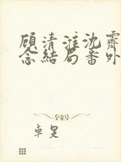 顾清淮沈霁禾乔念结局番外