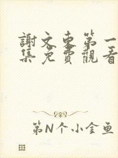 谢文东第一季全集免费观看