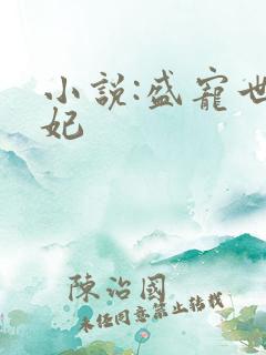 小说:盛宠世子妃