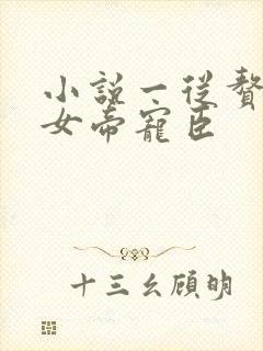 小说一从赘婿到女帝宠臣