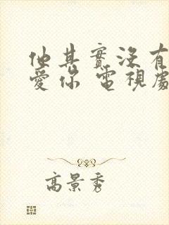 他其实没有那么爱你 电视剧免费观看