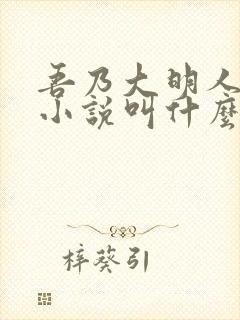 吾乃大明人原著小说叫什么名字