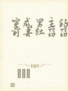 穿成男主的炮灰前妻杜窈窈 小说