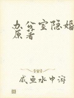 办公室隐婚小说原著