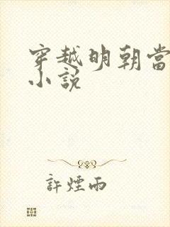 穿越明朝当皇帝小说