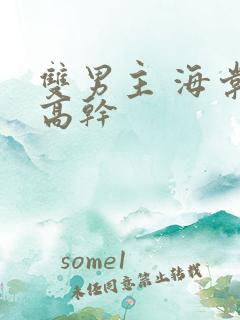 双男主 海棠 高干