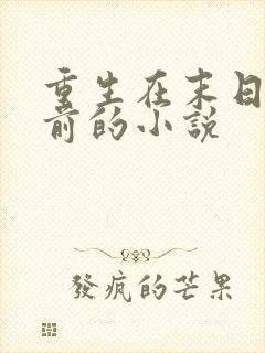 重生在末日降临前的小说