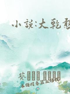 小说:大乾憨婿