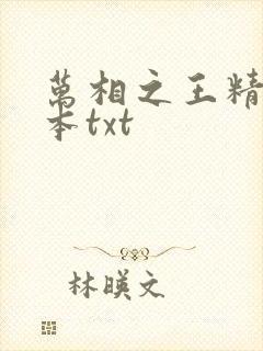 万相之王精校全本txt