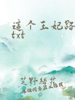 这个王妃路子野txt