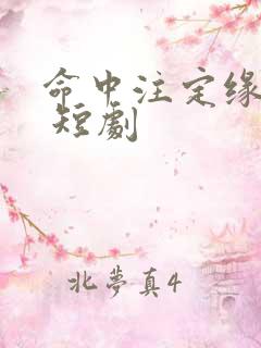 命中注定缘归来 短剧