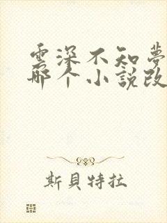 云深不知梦根据哪个小说改编