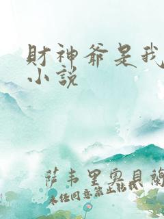 财神爷是我老板小说