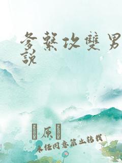 爹系攻双男主小说