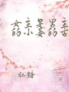 女主是男主父亲的小妾的古言