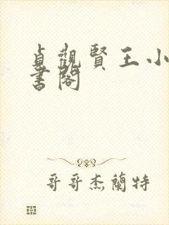 贞观贤王小说读书阁