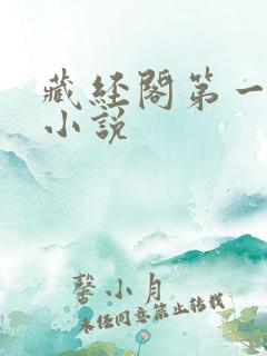 藏经阁第一版主小说