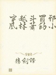 穿越斗罗邪火凤凰林萧的小说