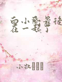 白小飞最后和谁在一起了