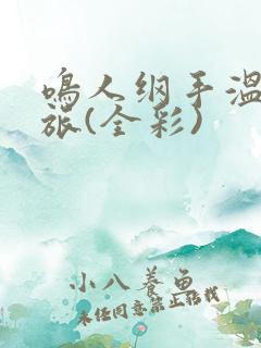 鸣人纲手温泉之旅(全彩)