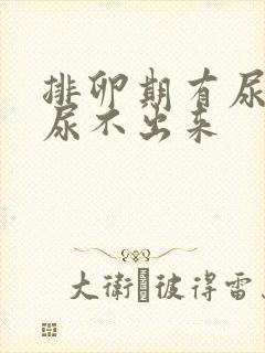 排卵期有尿意却尿不出来