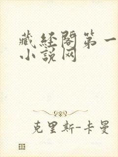 藏经阁第一版主小说网