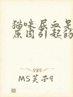 猫咪尿血是什么原因引起的