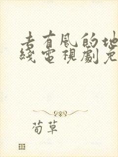 去有风的地方在线电视剧免费观看