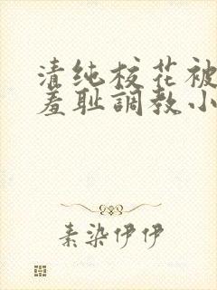 清纯校花被民工羞耻调教小说