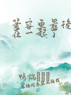 萧容鱼最后和谁在一起了