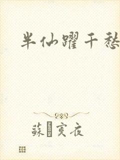 半仙跃千愁起点