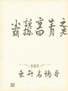 小说重生之她是霸总白月光