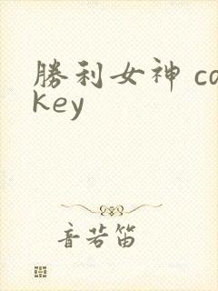胜利女神 cdkey